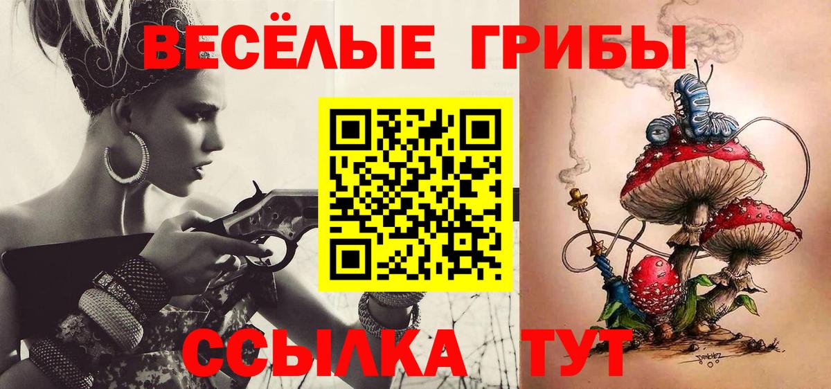 Псилоцибиновые грибы ЛСД  Вход с VPN  Тамбов  Псилоцибиновые грибы мухоморы 